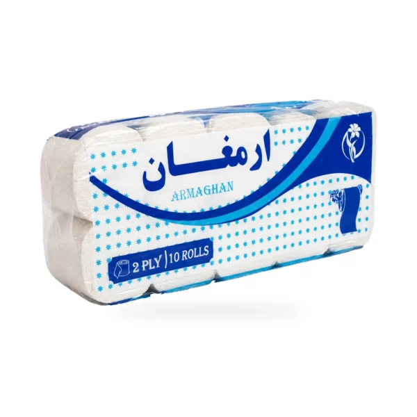 Toilet Paper 10 rolls